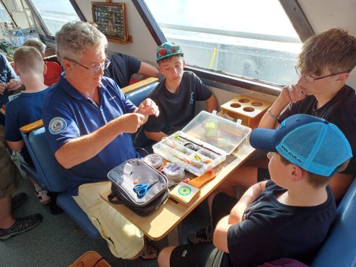 Die Profis zeigen wie man Knüppert